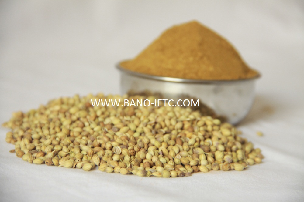Coriander Powder